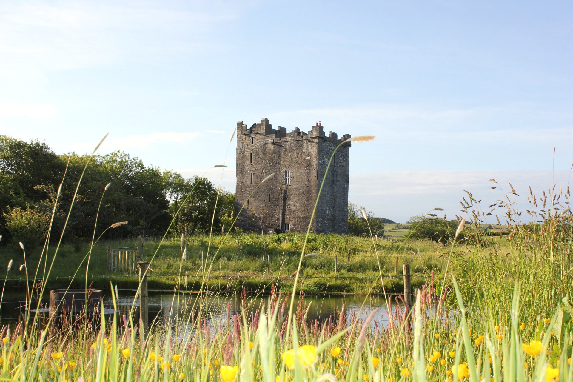 Smithstown Castle (Ballynagowan Castle) - private holiday rental
