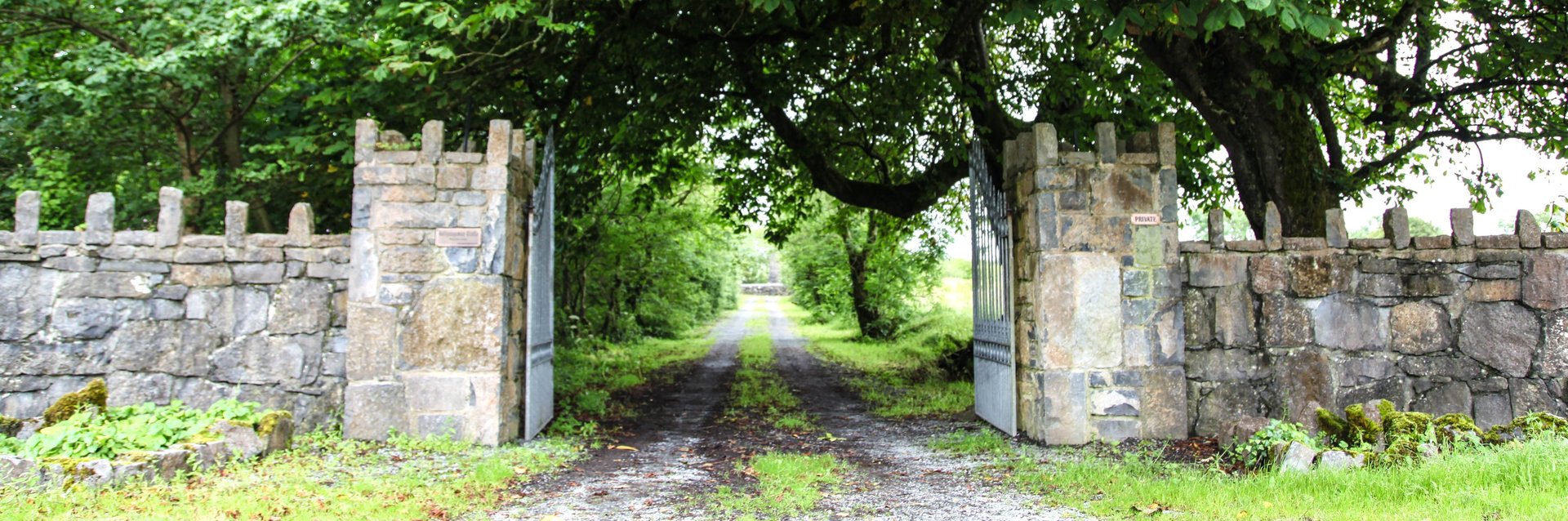 Smithstown Castle (Ballynagowan Castle) - private holiday rental