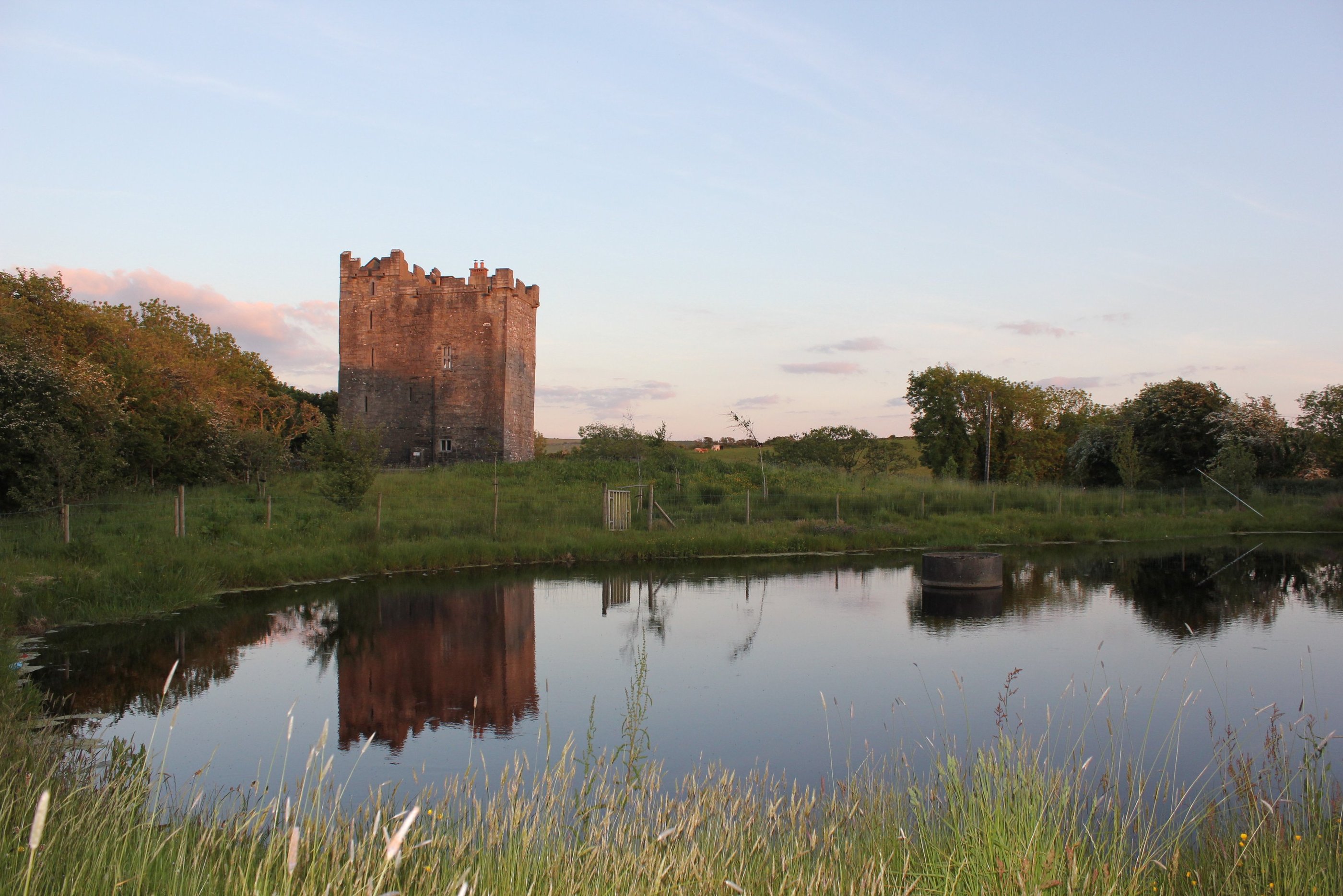 Smithstown Castle (Ballynagowan Castle) - private holiday rental