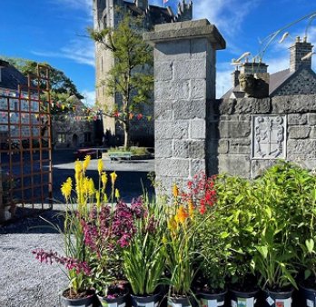 Claregalway Castle