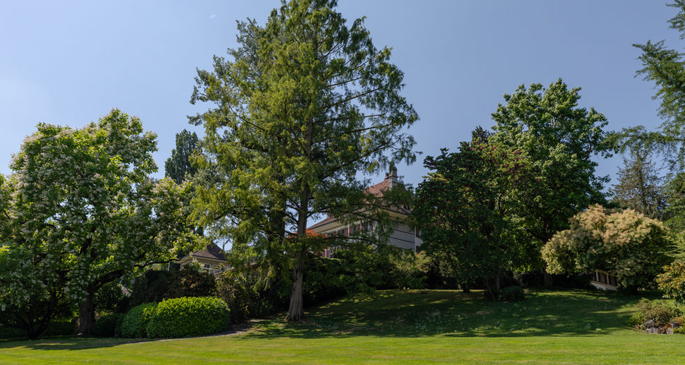 Hotel Schloss Gerzensee