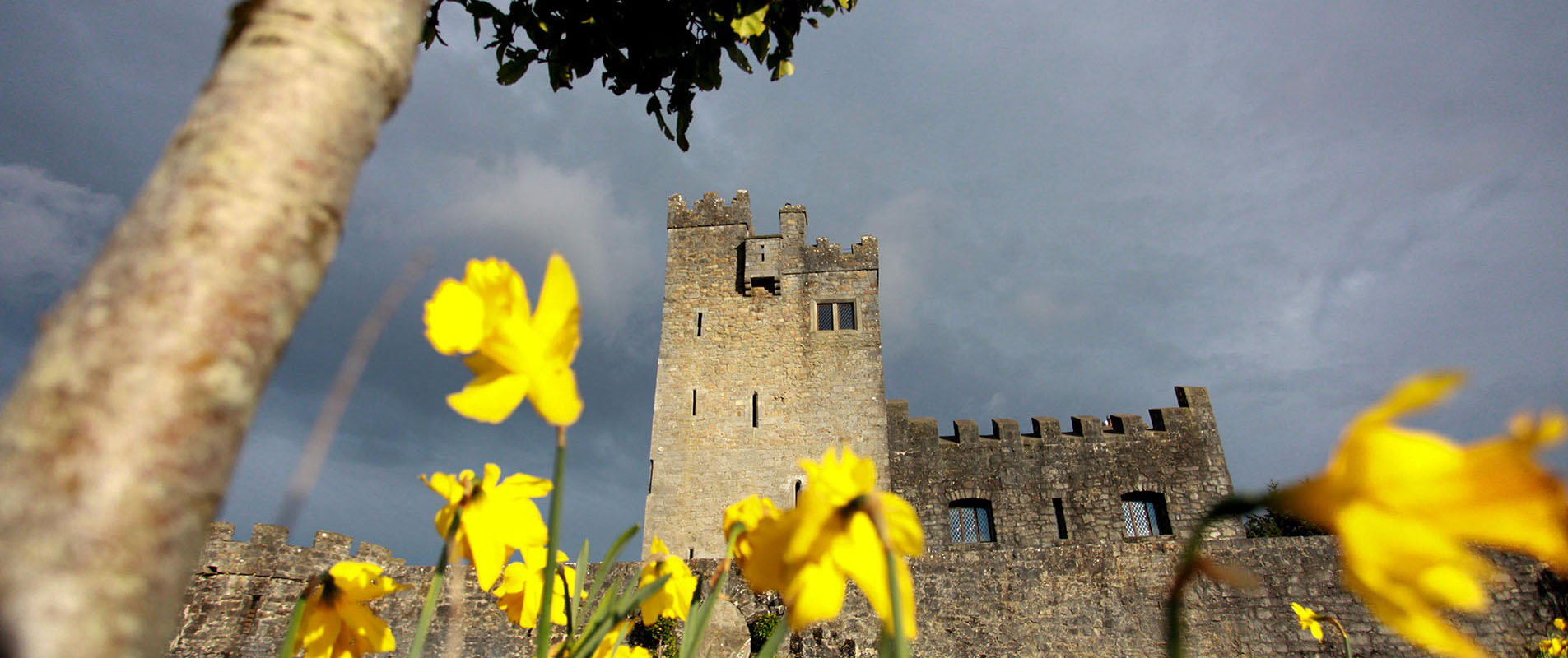 Cloghan Castle
