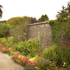 Castle Durrow