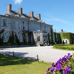 Castle Durrow