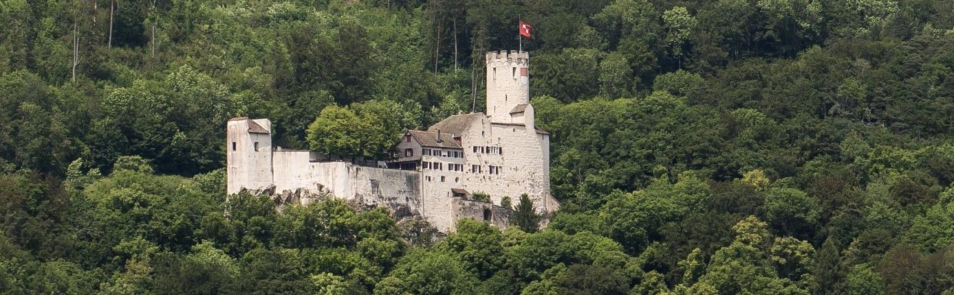 Schloss Neu-Bechburg