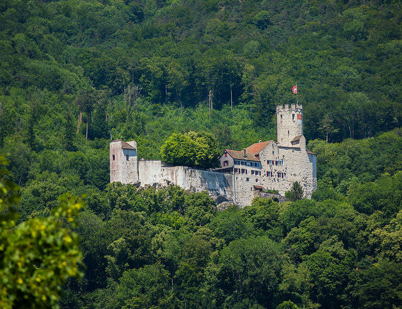 Schloss Neu-Bechburg