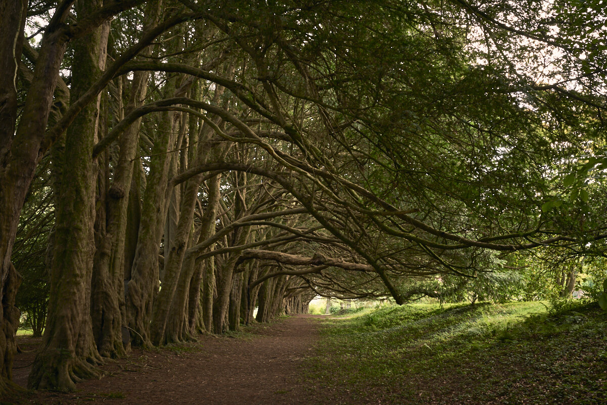 Huntington Castle & Gardens