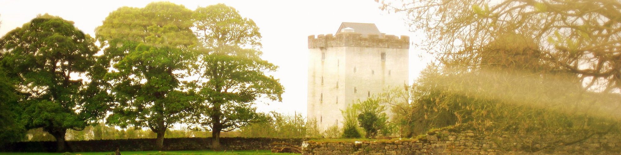 Turin Castle Ireland