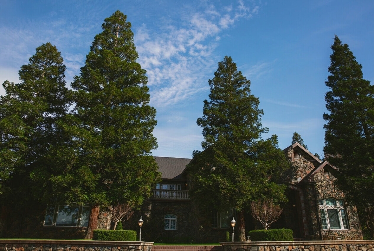 The Clovis Castle