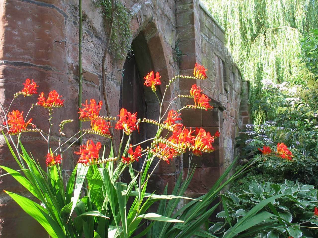 Rose Castle