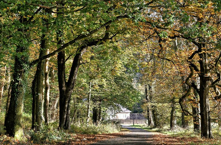 Ardgowan House, Castle and Gardens