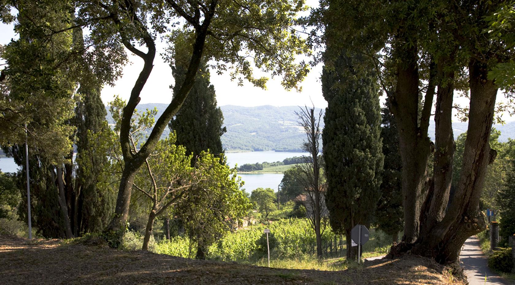 Castello di Villanova