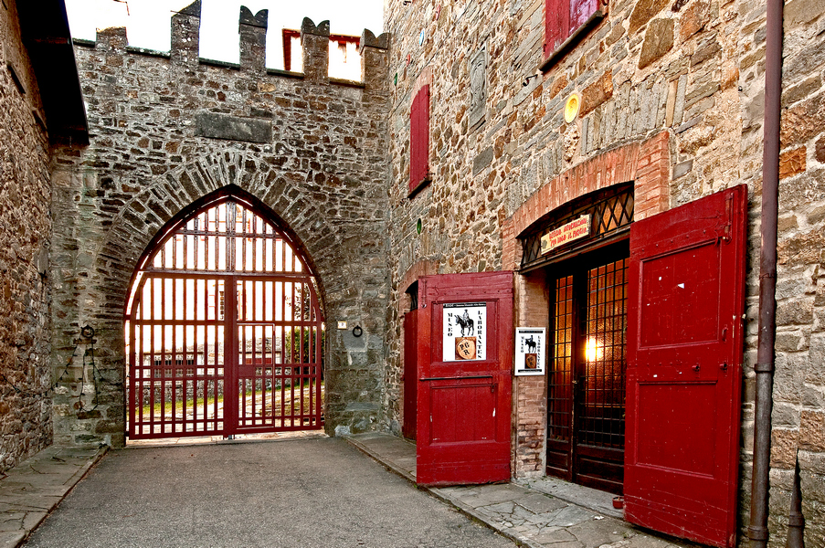 Castello Manservisi