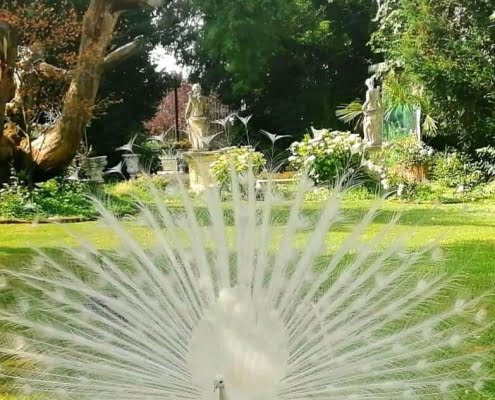 VILLA SELMI