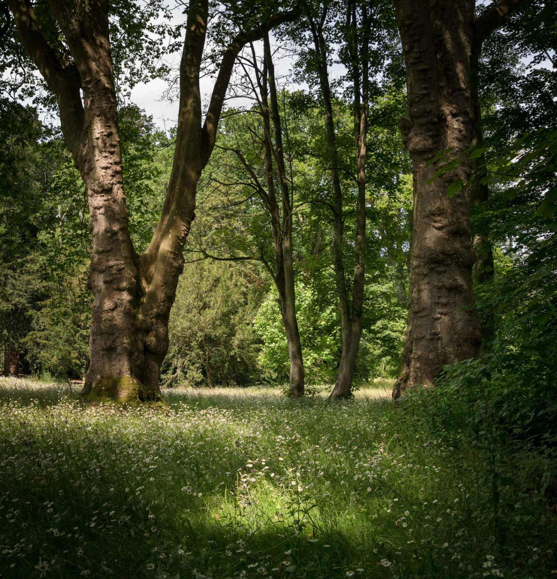 Eastnor Castle