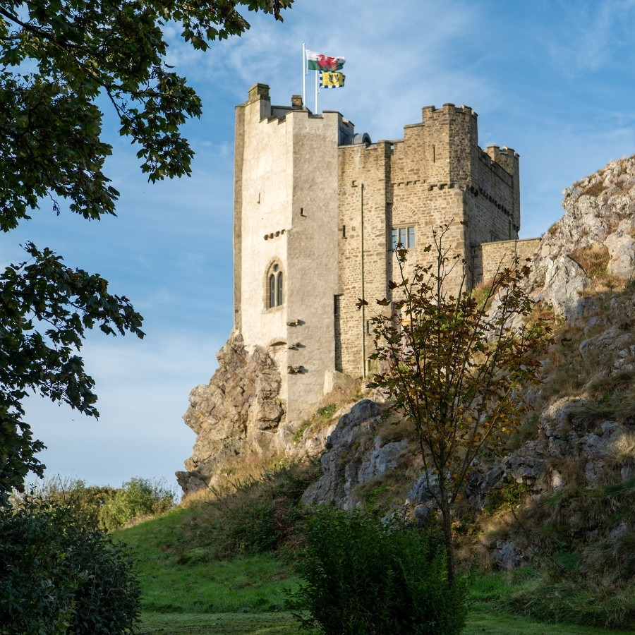 Roch Castle