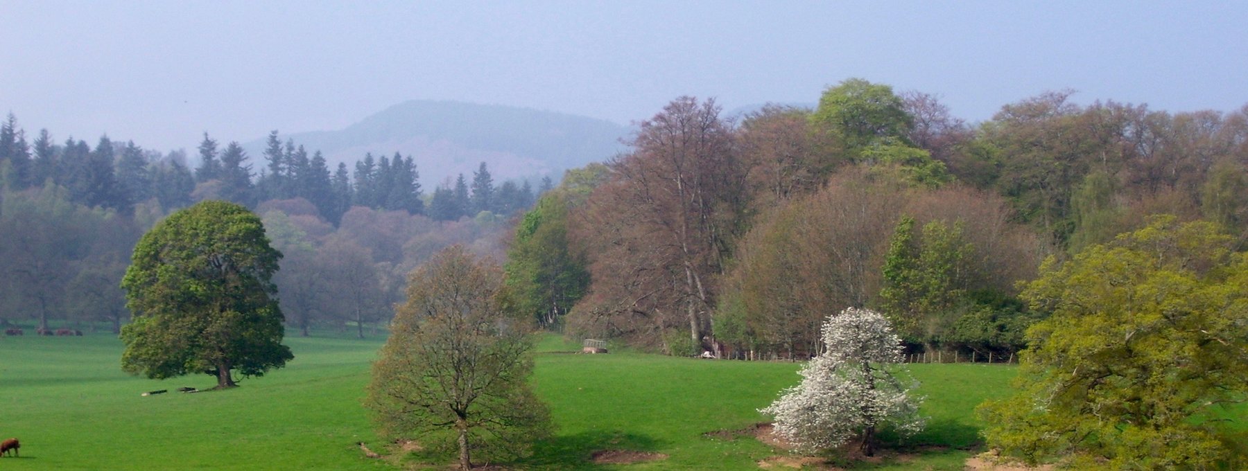 Murthly Estate