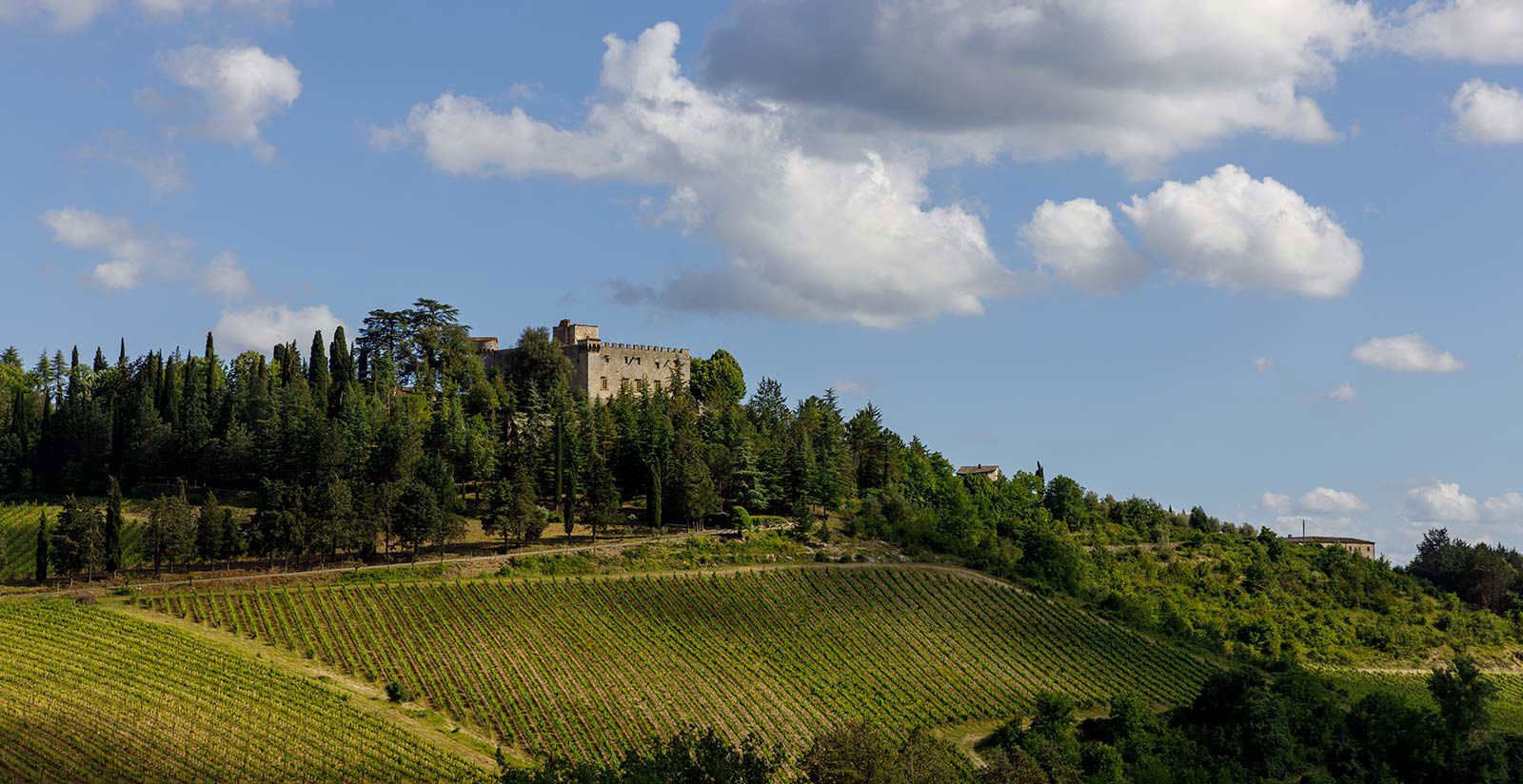 Castello di Meleto