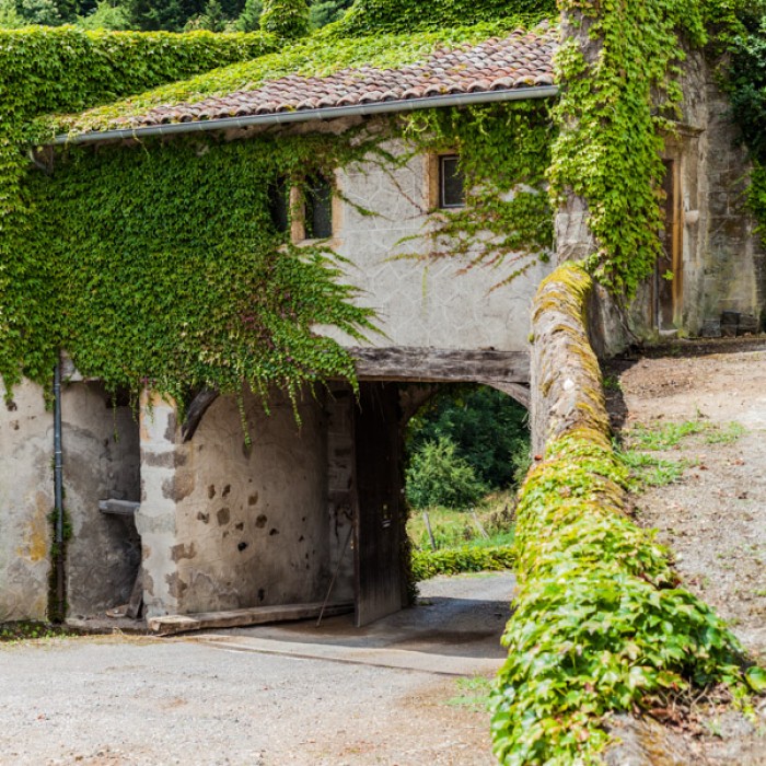 Château Jacques Cœur (Château de Charfetain)
