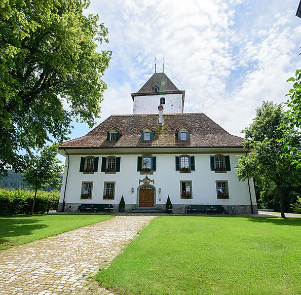 Schloss Wyl