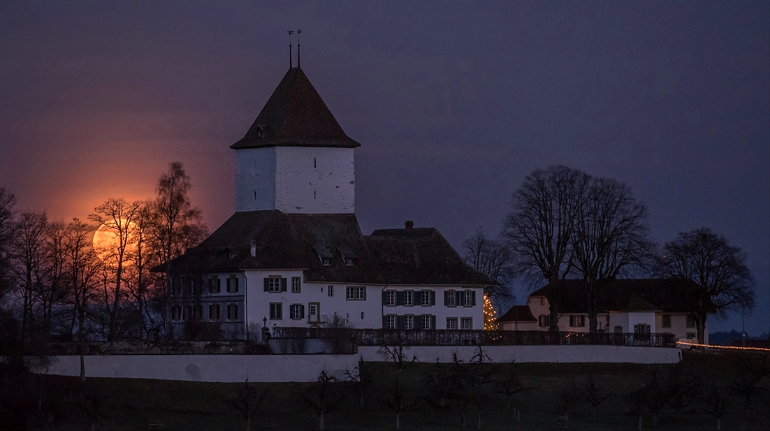 Schloss Wyl
