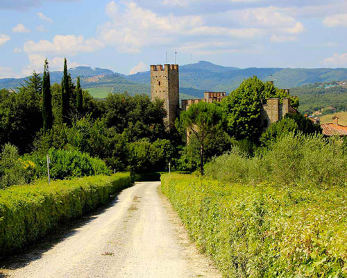 Castello di Montalto in Toscana - Agriturismo