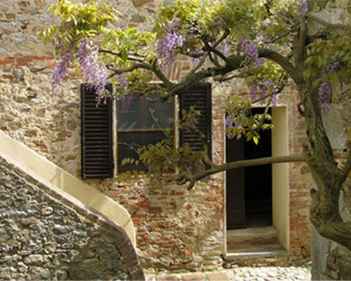 Castello di Montalto in Toscana - Agriturismo