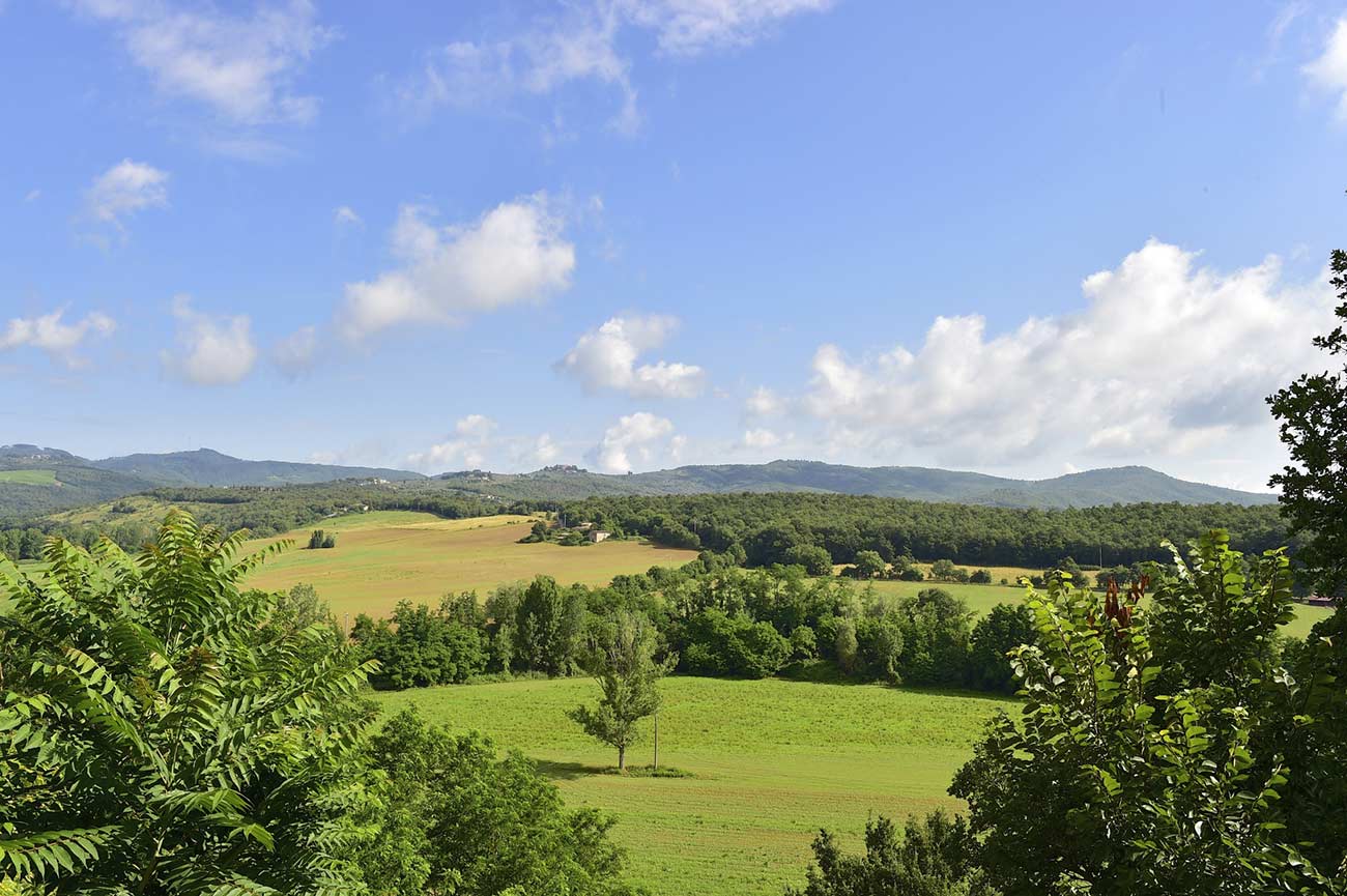 Castello di Montalto in Toscana - Agriturismo