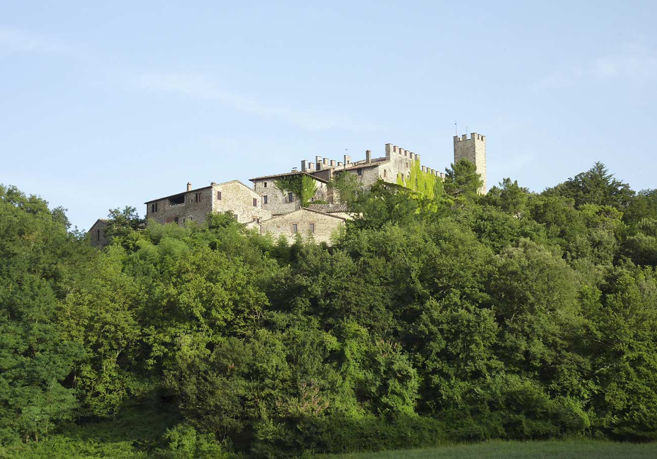 Castello di Montalto in Toscana - Agriturismo